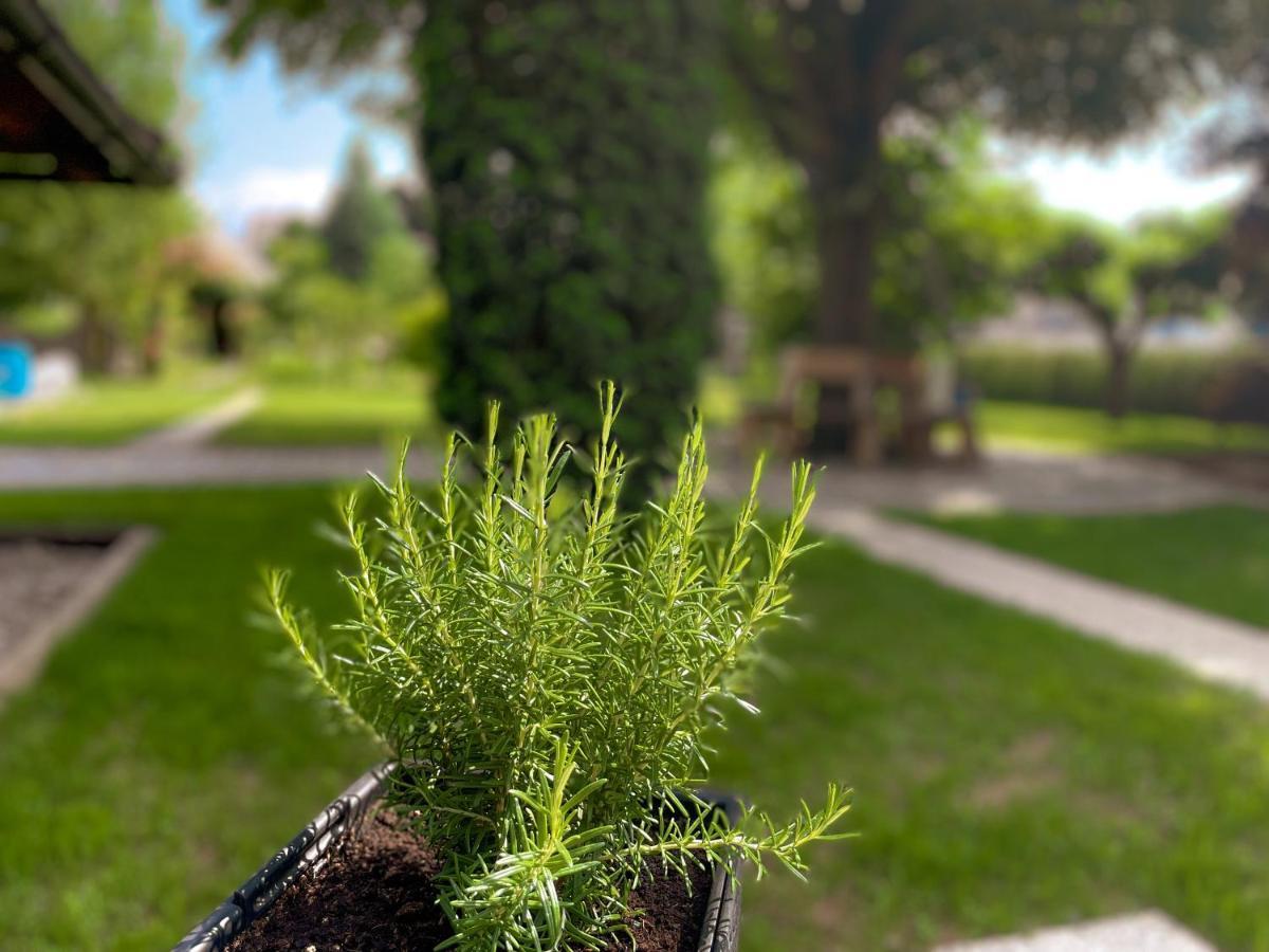 Green Oasis Garden Šenčur 外观 照片