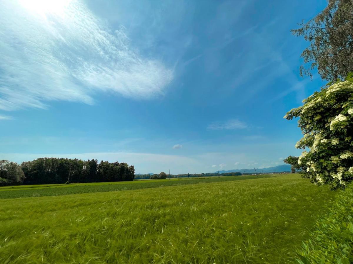 Green Oasis Garden Šenčur 外观 照片