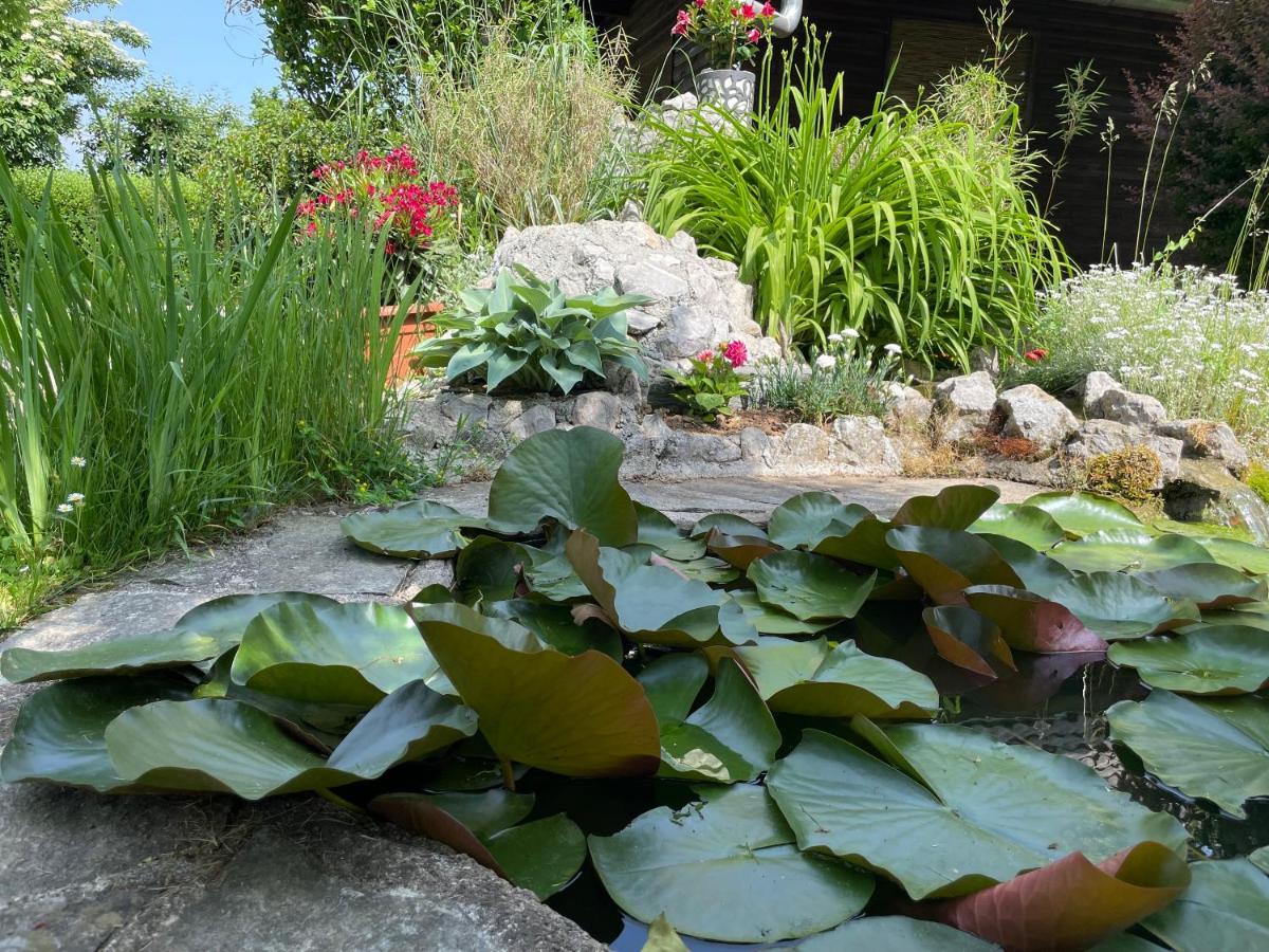 Green Oasis Garden Šenčur 外观 照片