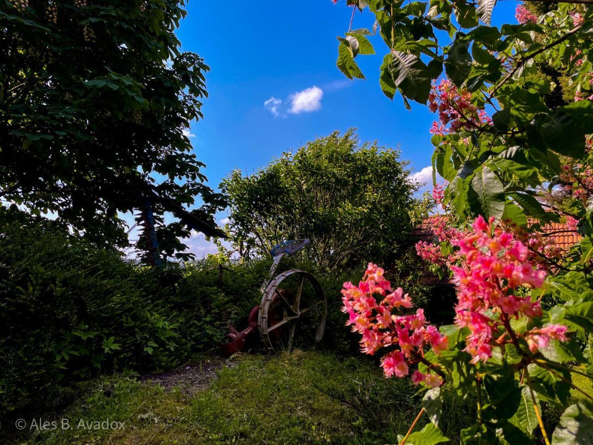 Green Oasis Garden Šenčur 外观 照片