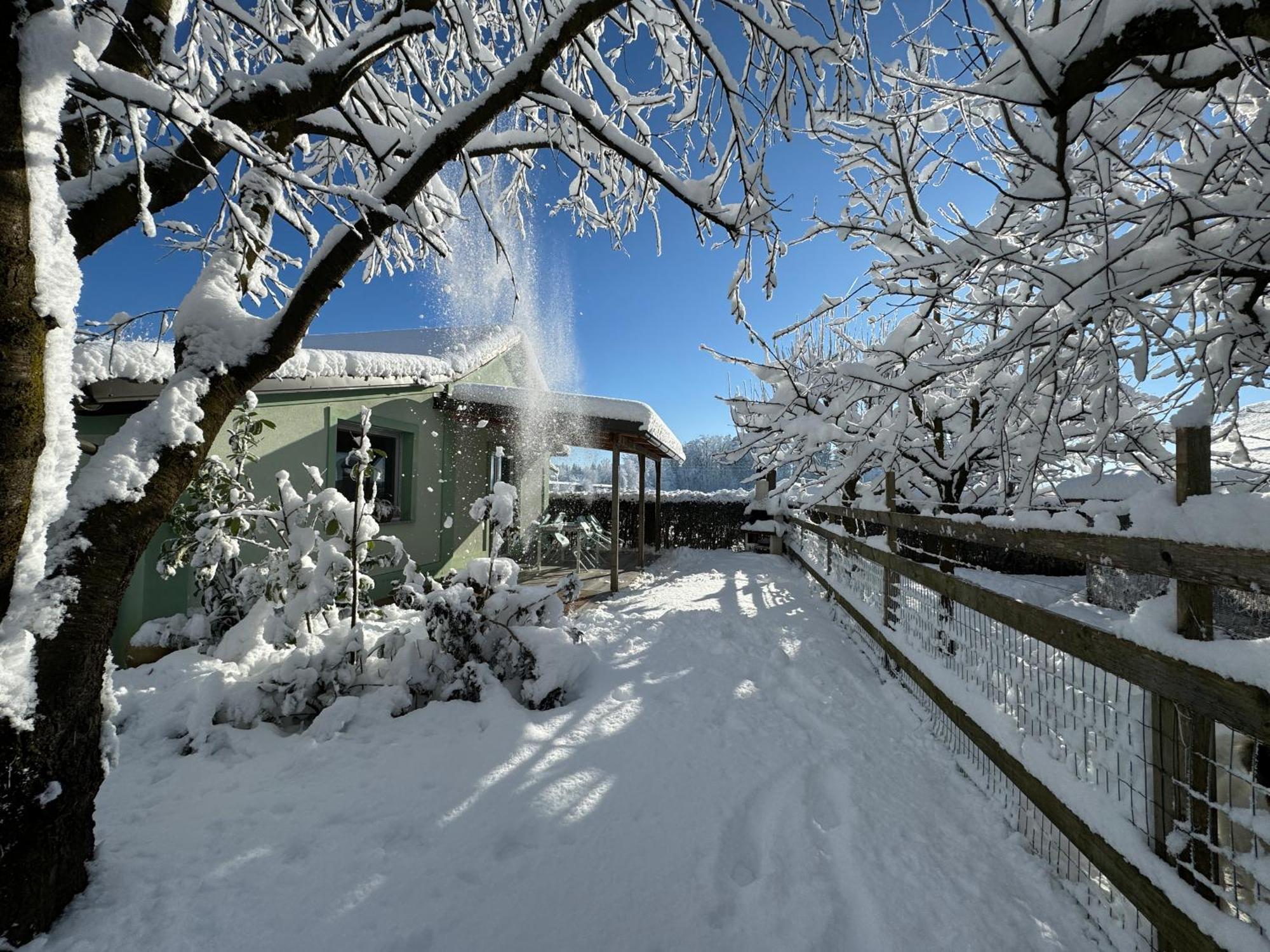 Green Oasis Garden Šenčur 外观 照片