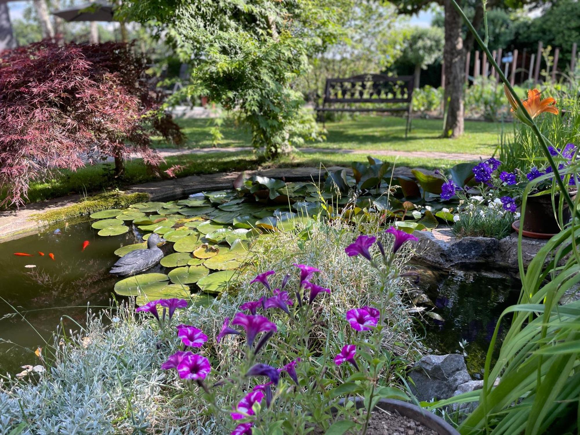 Green Oasis Garden Šenčur 外观 照片