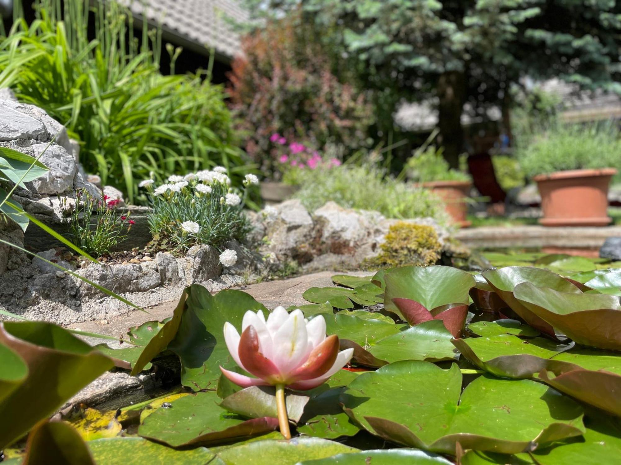 Green Oasis Garden Šenčur 外观 照片