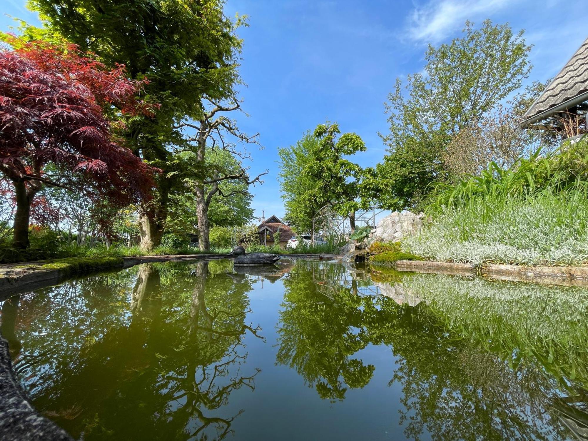 Green Oasis Garden Šenčur 外观 照片