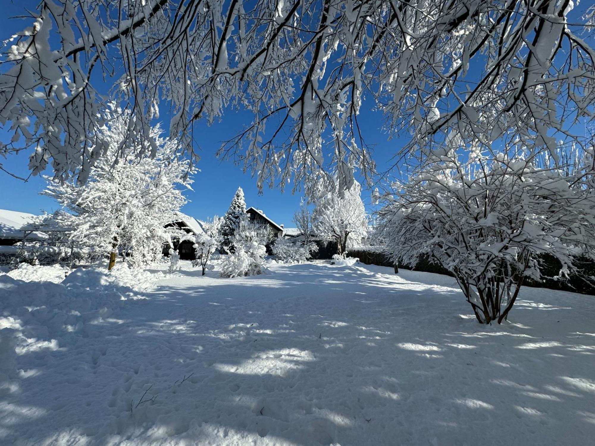 Green Oasis Garden Šenčur 外观 照片