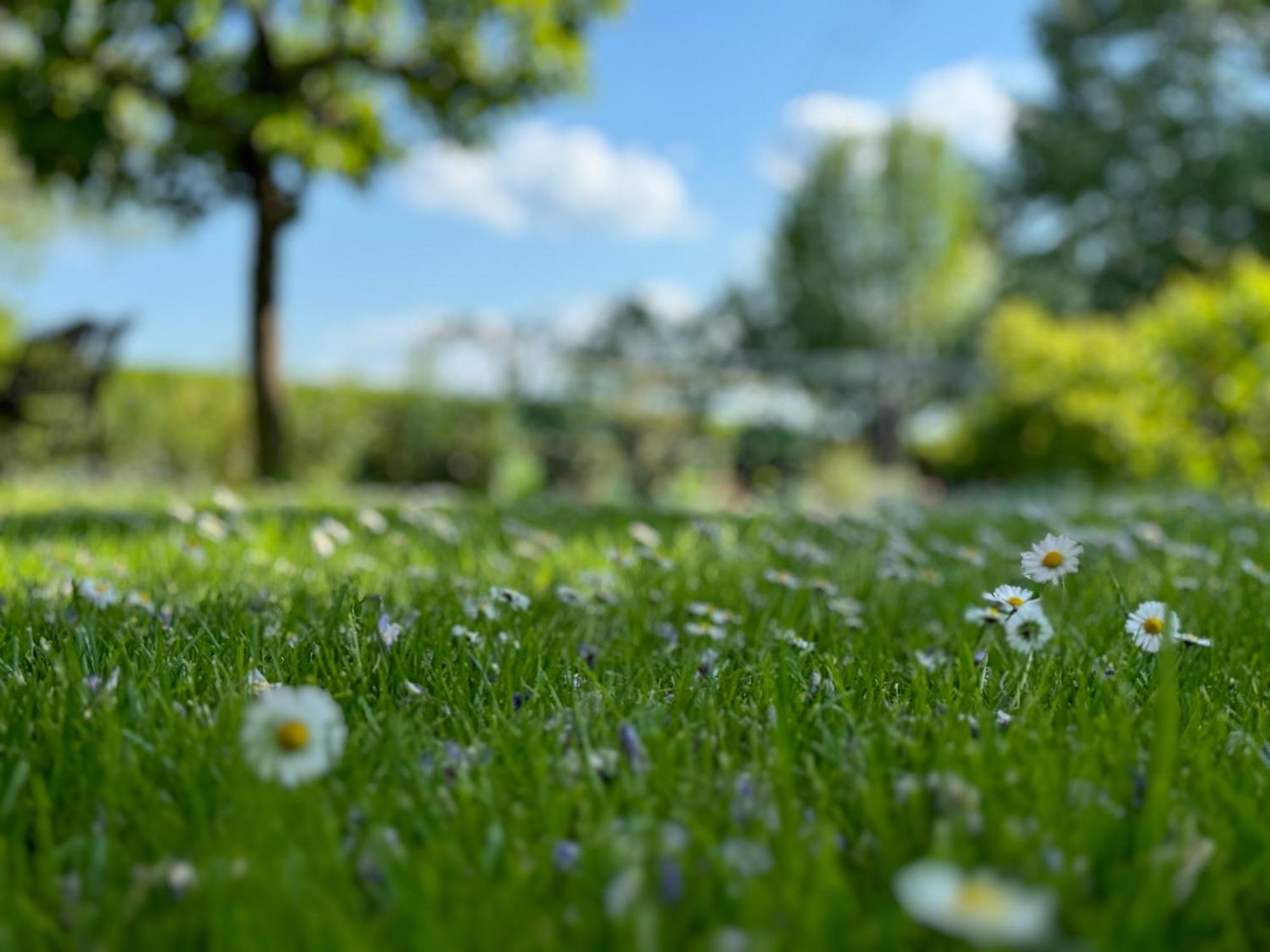 Green Oasis Garden Šenčur 外观 照片