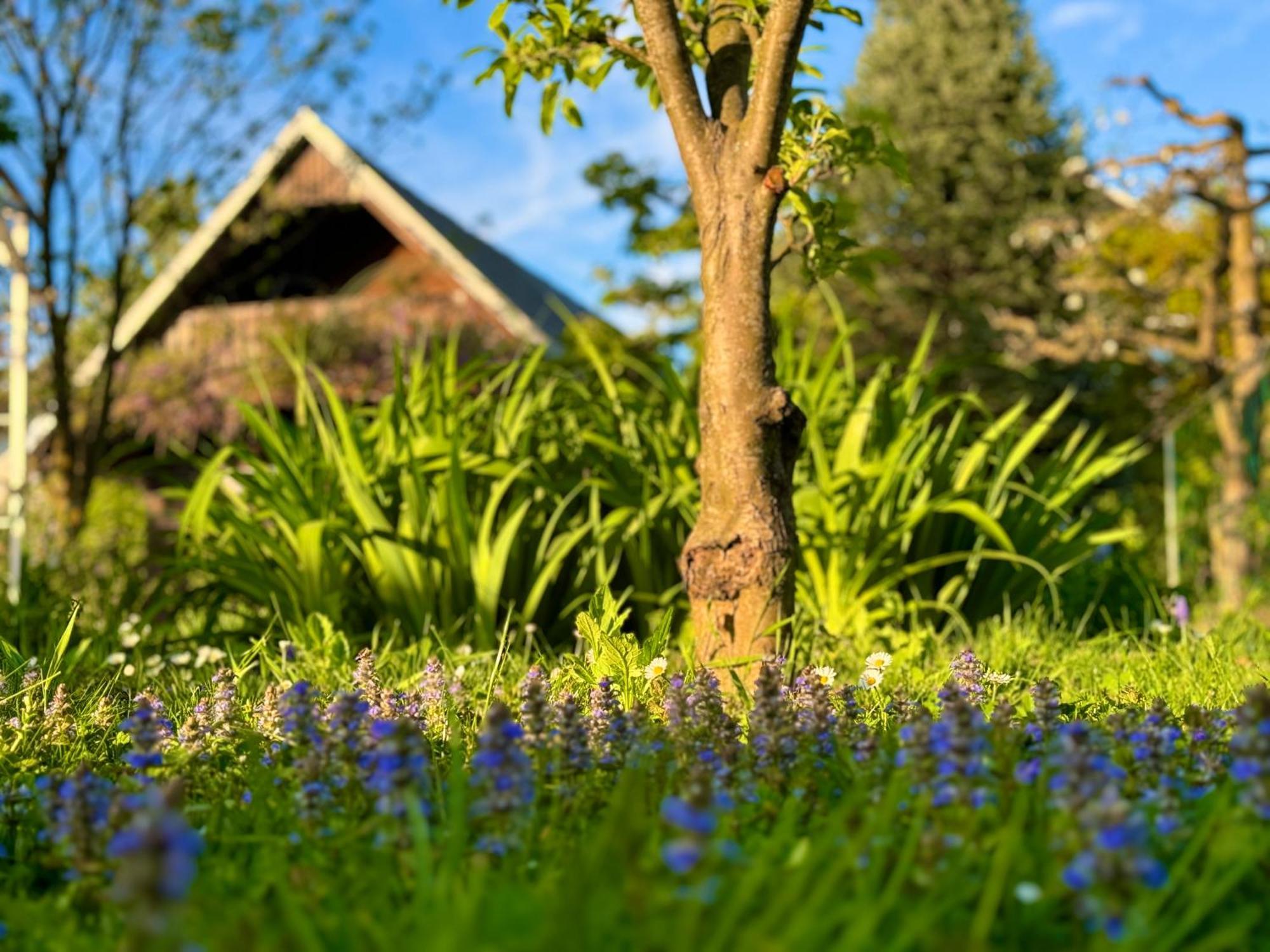 Green Oasis Garden Šenčur 外观 照片