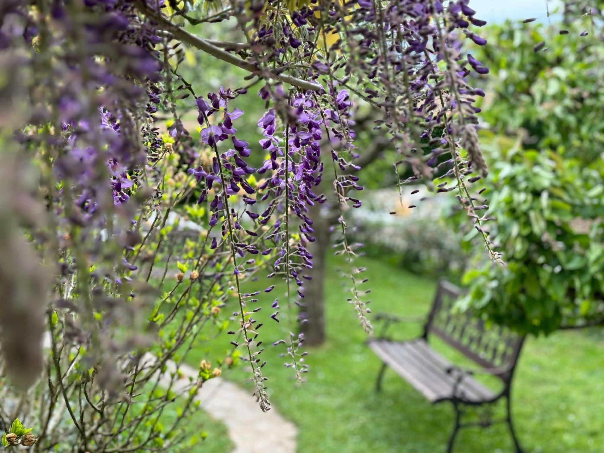 Green Oasis Garden Šenčur 外观 照片