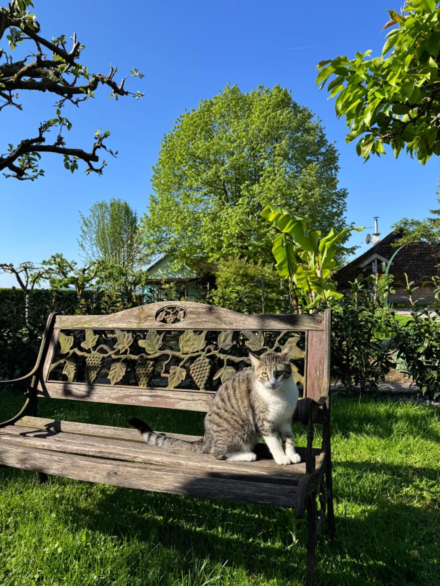 Green Oasis Garden Šenčur 外观 照片